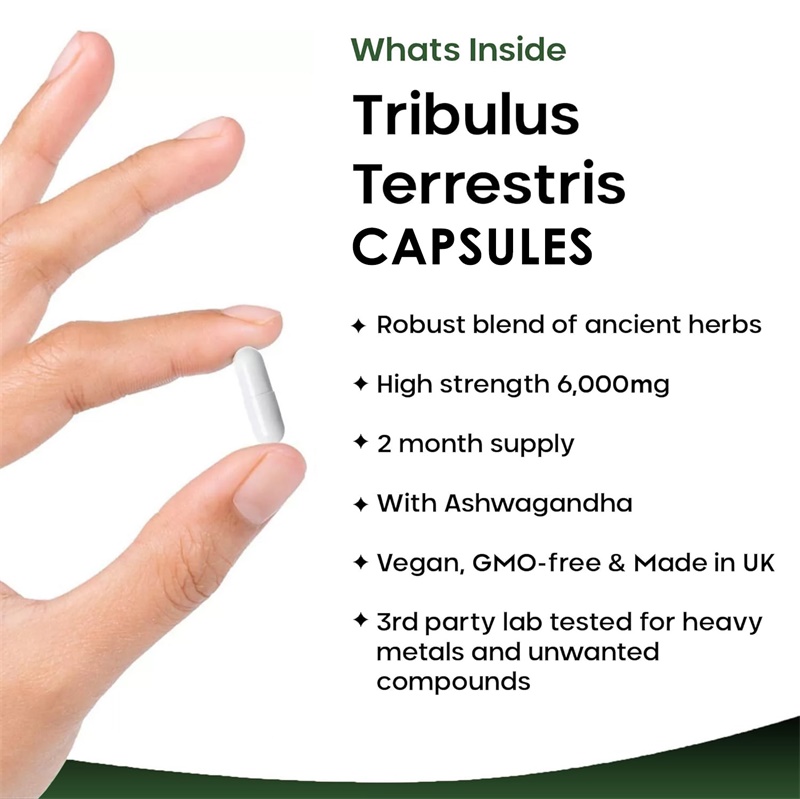 Tribulus Terrestris 6000MG — п – обзор и цена Health And Wellness Promotion